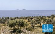 Agios Pavlos Kreta, Agios Pavlos: Erstaunlicher Landstrich in der Gegend von Volakas zu verkaufen Grundstück kaufen